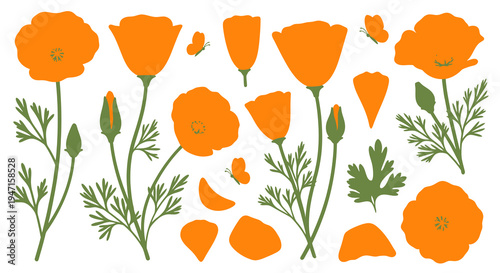 A charming vector collection of stylized orange poppy flowers, buds, and leaves, showcasing diverse shapes for cheerful spring and summer designs, digital artwork, and vibrant floral illustrations