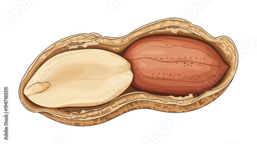 Peanut in Shell Open.