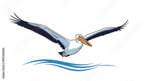 Pelican Flying Over Water.