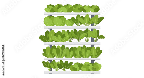 Vertical Farming System Illustration with Fresh Leafy Greens. Hydroponic Urban Indoor Agriculture Technology Isolated on White.