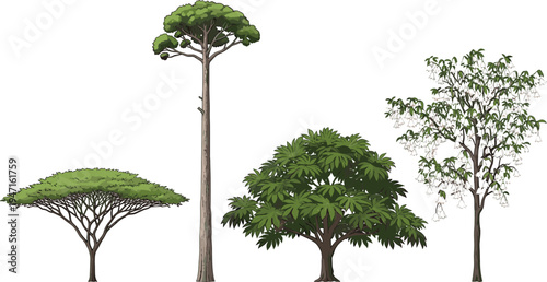 Diverse tree species illustration, botanical nature collection, ecological diversity, educational plant identification artwork