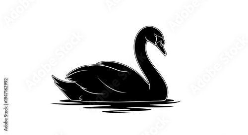 Elegant black swan silhouette floating on calm water surface.