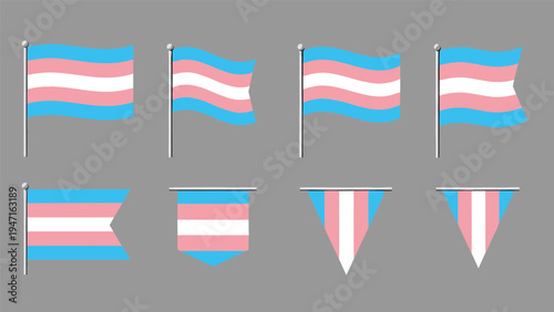 Comprehensive set of transgender pride flags in different shapes including rectangle waving hanging and triangular pennants on gray.