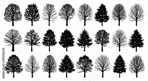 Silhouettes of various leafless deciduous trees in different shapes and sizes.