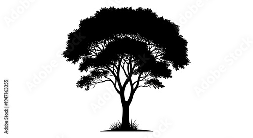 Silhouette of a large tree with spreading branches and dense foliage.