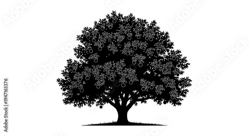Silhouette of a large leafy tree with detailed branches and shadow.