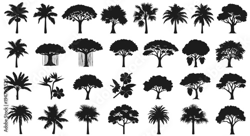Silhouettes of various tree types including palms and broadleaf trees.