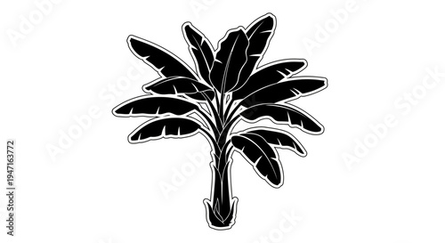 Black and white silhouette of a banana tree with large leaves.