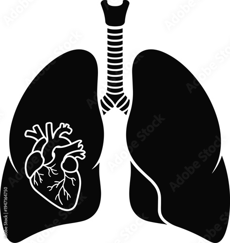 Human lungs and heart icon black silhouette with white outline on white background vector illustration