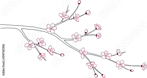 A delicate hand-drawn illustration captures the timeless beauty of a cherry blossom branch, showcasing vibrant pink flowers and gentle buds, perfect for spring-themed designs and tranquil aesthetics.