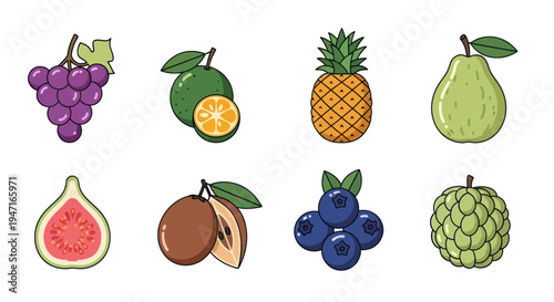 Colorful assortment of fresh fruit illustrations