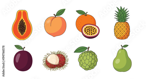 Colorful collection of fresh tropical fruits