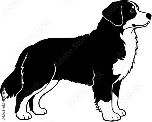Bernese Mountain Dog Silhouette – Flat Vector Plotter Cut File