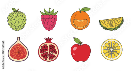 Colorful fruit illustration collection