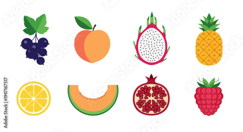 Colorful fruits collection illustration