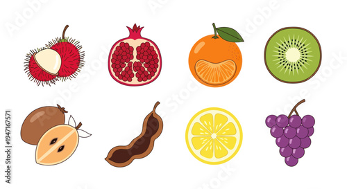 Colorful fruits collection illustration
