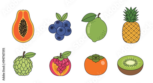 Colorful fruits fresh isolated vector design