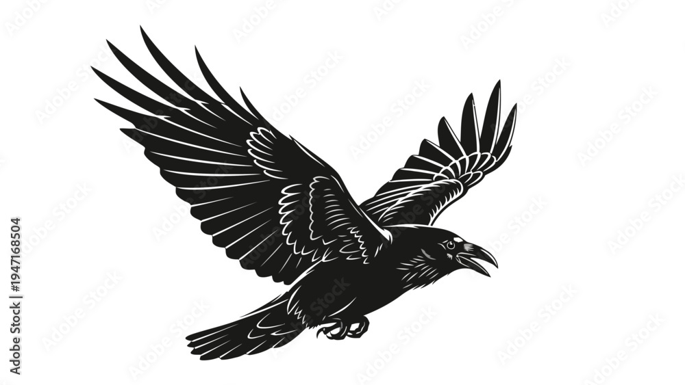 Obraz premium Black Bird in Flight.