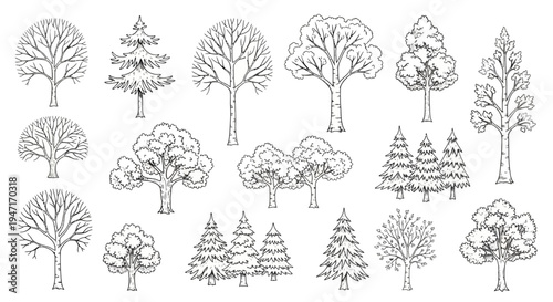 Hand Drawn Tree Set Collection Sketch