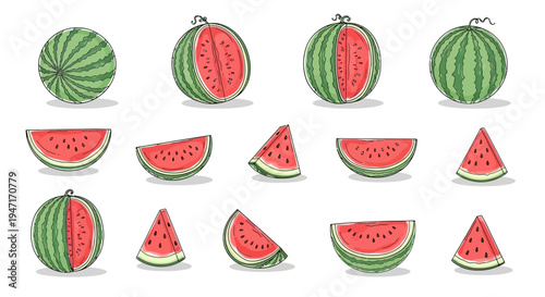 Set of Hand Drawn Watermelon Illustrations