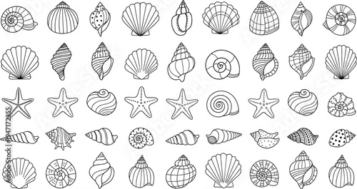 Black and white line art collection of fifty seashells and starfish illustrations arranged in rows showcasing marine biology diversity ocean nature design inspiration artwork