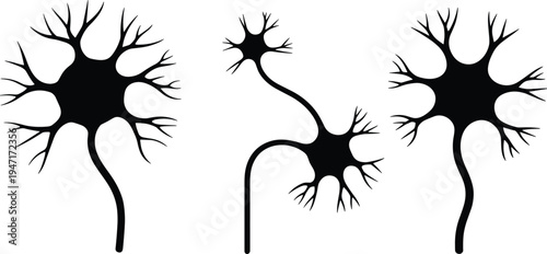 Silhouette of three abstract neurons with dendrites and axons on white Keywords: neuron, nerve cell, brain, science, biology