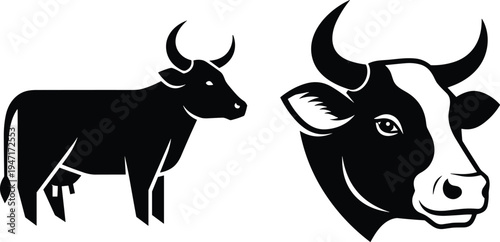 Black and white stylized illustration of cow full body silhouette with horns udder tail and detailed cow head profile artwork agricultural educational design