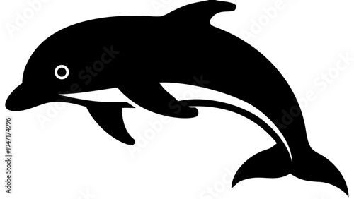 Dolphin marine animal vector