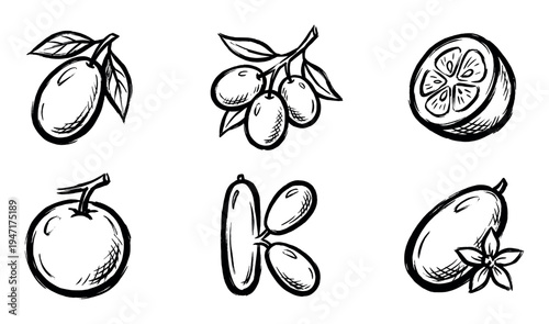 Various hand-drawn sketch illustrations of different small fruits and berries with leaves in a brush stroke style.