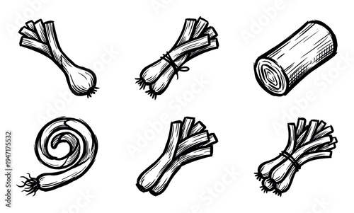 Six hand-drawn illustrations of fresh spring onions are presented in various forms, showcasing this versatile vegetable.