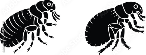 Two Black Silhouettes of Fleas Facing Each Other on a White Background insect pest