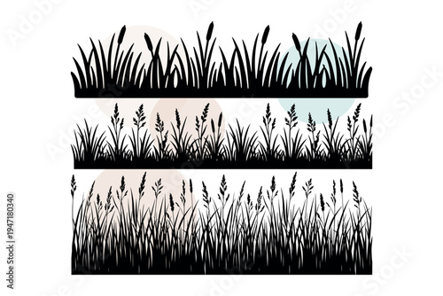 Vector set of cattails and flowering field grasses with tall seed heads. Minimalist botanical borders for agricultural and countryside themes. Black vector illustration design