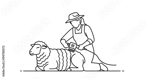Farmer shearing sheep with electric clippers in a farm setting, simple line drawing style isolated on white background