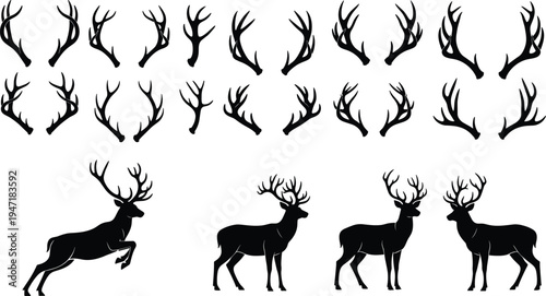 Deer and antlers silhouette collection, stag horn vector set, wildlife animal shapes, black forest deer illustration, hunting trophy antler design bundle