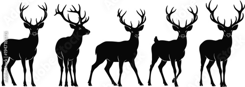 Deer silhouette set, stag wildlife animal collection, black forest deer vector illustration, standing buck shapes, nature hunting design elements