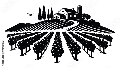 Vineyard Landscape Illustration – Winery Farm with Grape Fields Vector