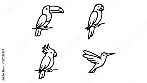 Tropical Bird Line Icons Set – Toucan, Parrot, Cockatoo and Hummingbird Vector