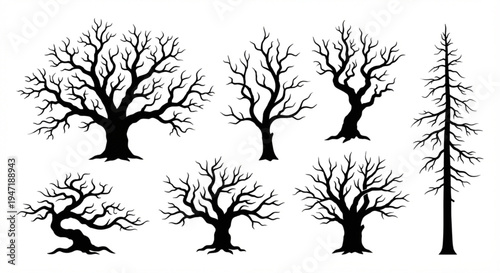 Collection of Silhouetted Bare Trees in Various Shapes and Sizes for Artistic and Design Purposes