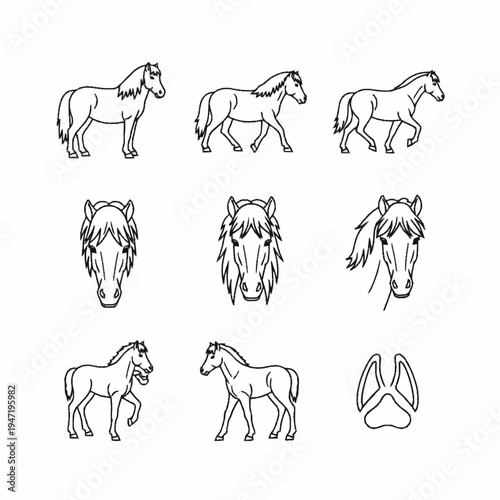Horse Line Art Vector Icons Set. Equine Animal Illustrations in Various Poses, Headshots, and Hoof Print.