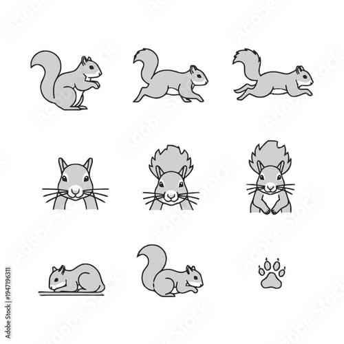 Outline squirrel icon set, featuring various poses, headshots, and a paw print, minimal black and white vector illustrations.
