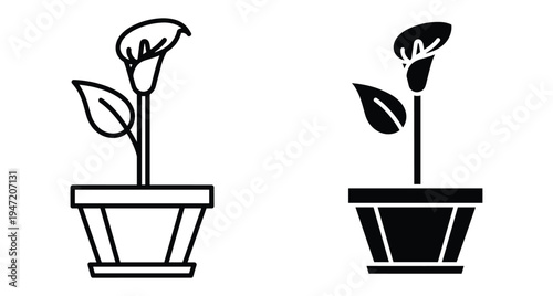 Calla lily flower plant in pot icon set with outline and solid black silhouette styles for gardening and interior design