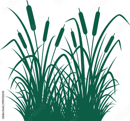 Dark green cattail plant silhouette with leaves and stems
