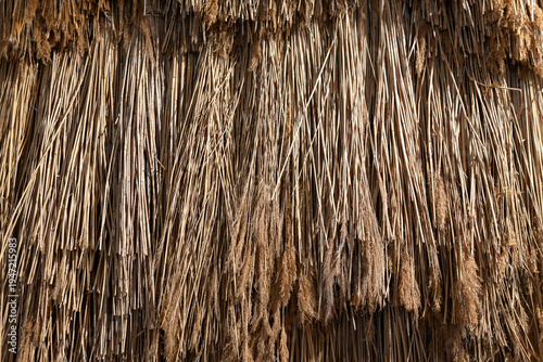 Wallpaper Mural Natural dry reed texture background. Closeup of bundled reed stems with fluffy tops, traditional eco material used for thatched roofs, natural decor. countryside aesthetic and rustic design concept. Torontodigital.ca