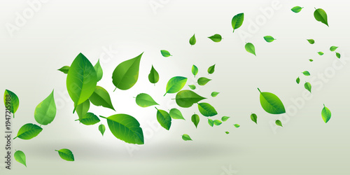 Green leaves flying in the wind forming a natural motion flow on light background.