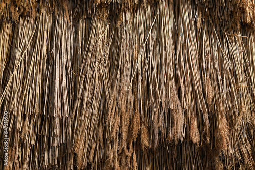 Tableau sur toile Natural dry reed texture background