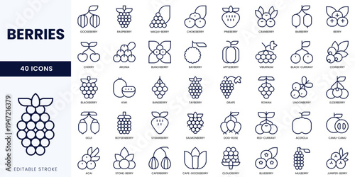 A collection of 40 berry icons featuring various types in minimalistic line art style.
