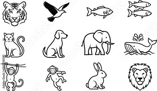 Animal illustration set, tiger bird fish cat dog elephant whale monkey rabbit lion artwork, wildlife vector drawing concept