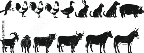 Farm animal silhouette illustration set, bird rooster duck rabbit cat pig goat sheep cow horse donkey artwork, vector drawing concept