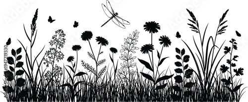 Meadow silhouette illustration set, grasses wildflowers butterflies dragonfly artwork, nature ecosystem vector drawing concept