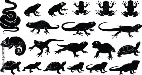 Reptile amphibian silhouette illustration set, snake frog lizard chameleon turtle artwork, wildlife vector drawing concept